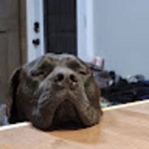 Meet your Posher, Cameron